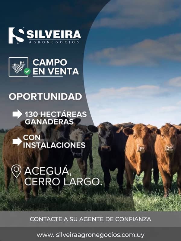 Venta / Acegua / Cerro Largo